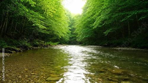 Serene timelapse of a clear river flowing through a lush green forest, showcasing the dynamic interplay of light and water background, stream, tranquility