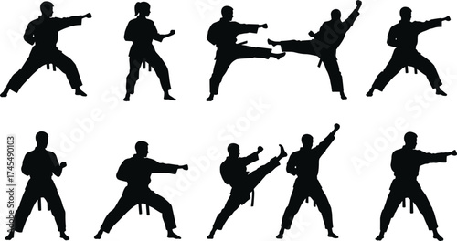 Martial arts silhouette vector set with ten dynamic poses, high kicks, punches, defense stances, uniforms, belt ranks, and motion