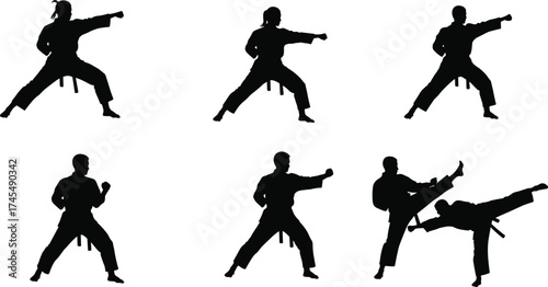 Martial arts silhouette vector set featuring dynamic poses, high kicks, punches, defense stances, traditional uniforms, and belt ranks