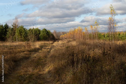Beautiful autumn landscape, bright light and magnificent clouds