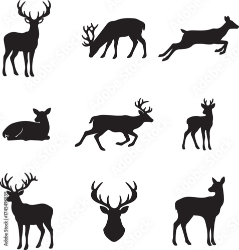 Collection of majestic deer silhouettes in various poses wildlife nature animals forest creatures woodland mammals outdoors