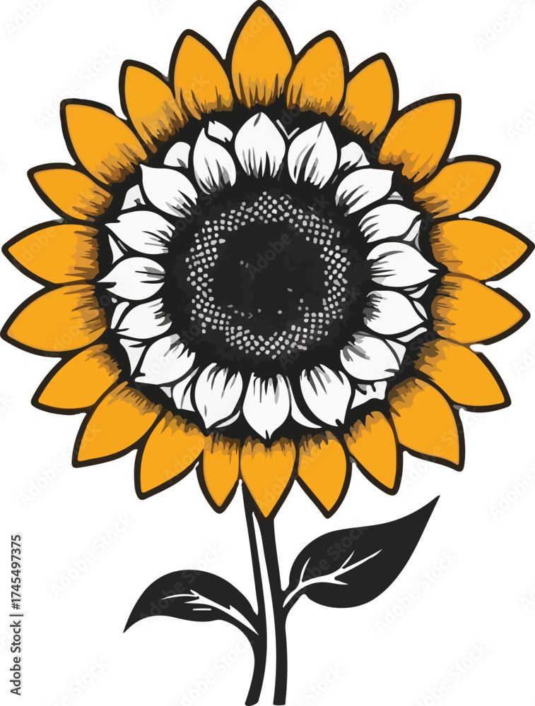 Fototapeta premium sunflower isolated on white