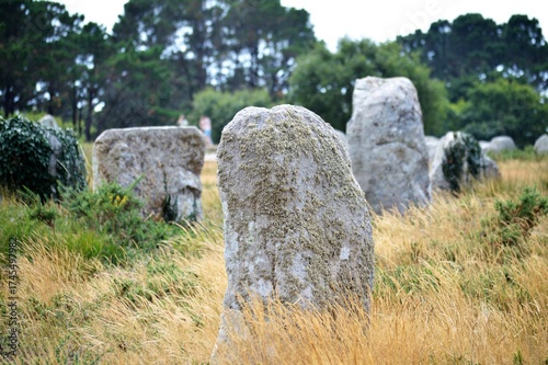 Francia,Bretagna Carnac