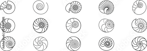 Nautilus Shell Cross Sections Line Art Icons Set On White Background vector illustration