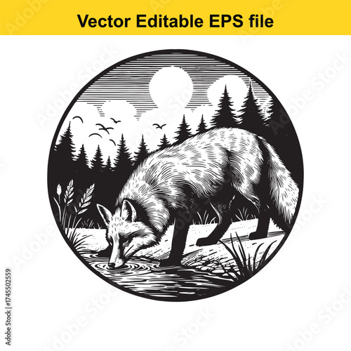 Vector art of a fox drinks water in a forest clearing with trees and birds