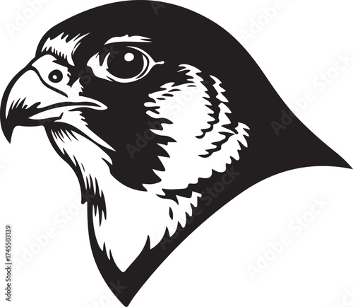 Peregrine falcon majestic profile silhouette and dynamic flying bird of prey side view high speed aerial predator