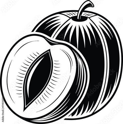 Apricot icons isolated on white background. Vector illustration.