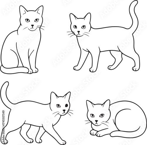 Line art cats vector