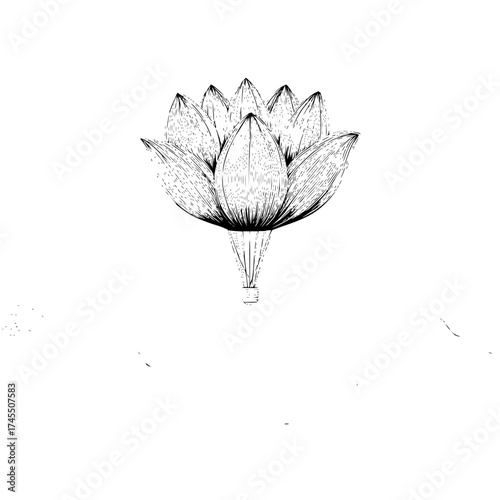 Detailed line art of a lotus flower with closed petals and a stylized stem on a white background
