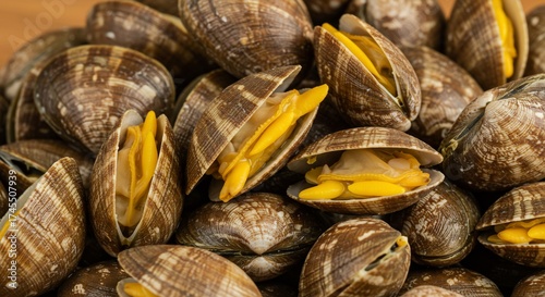 Clams macro close up selective focus