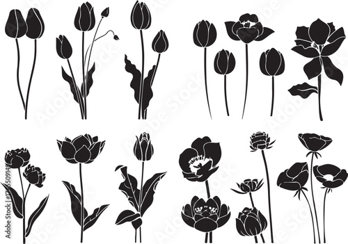 Timeless Botanical Art Silhouettes