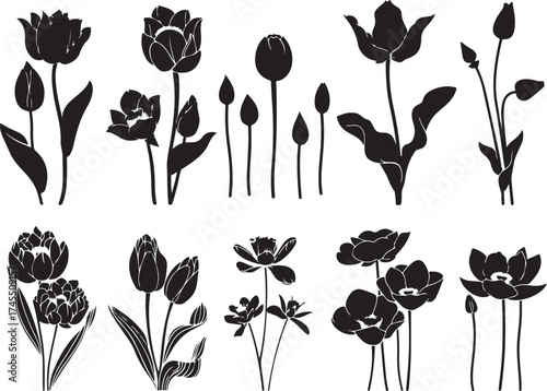Timeless Botanical Art Silhouettes