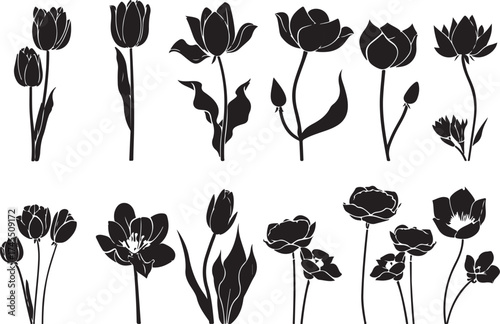 Timeless Botanical Art Silhouettes