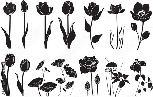 Timeless Botanical Art Silhouettes
