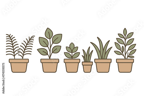 Collection of various potted indoor houseplants displayed in a row against a clean white background