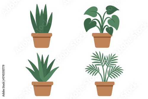 Collection of four potted green houseplants featuring succulents and tropical foliage