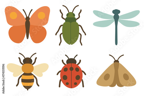 Collection of common garden insects butterfly bee ladybug and moth