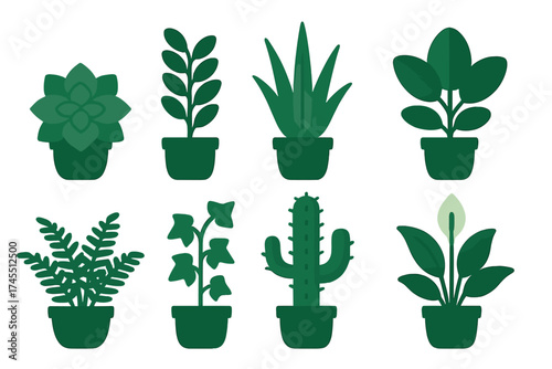 Set of eight different popular indoor potted plants including cactus, fern, and peace lily