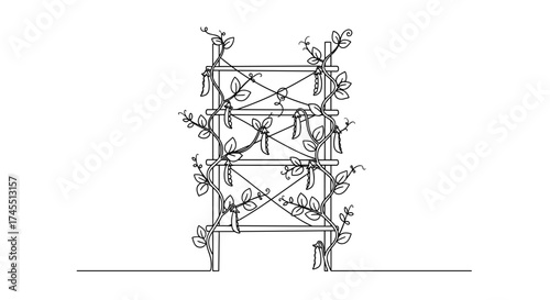 Small trellis with climbing peas in linear black and white style