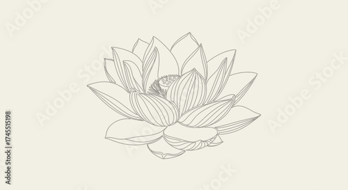 Detailed blooming lotus flower with intricate petal lines, drawn with elegance, symbolizing purity and spiritual serenity in a bright studio.