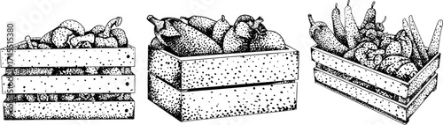 Intricate black-and-white engraving of three crates filled with assorted fruits and vegetables, ideal for farm, market, or rustic design projects.