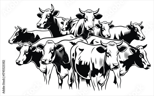 Vectorized Cow for print, sketch, Drawing, Decoration