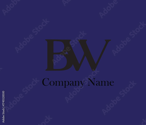 Clean and modern company logo design suitable for corporate branding, business identity, and marketing use. The design represents professionalism, creativity, and trust — ideal for startups, ente