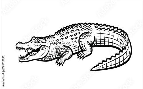 Vectorized Crocodile for print, sketch, Drawing, Decoration