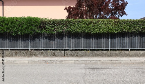Wallpaper Mural Fence made of concrete base with metal railing covered by a black tarpaulin and hedge on top. House wall and red tree on behind, sidewalk and street in front. Background for copy space. Torontodigital.ca