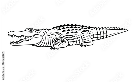 Vectorized Crocodile for print, sketch, Drawing, Decoration