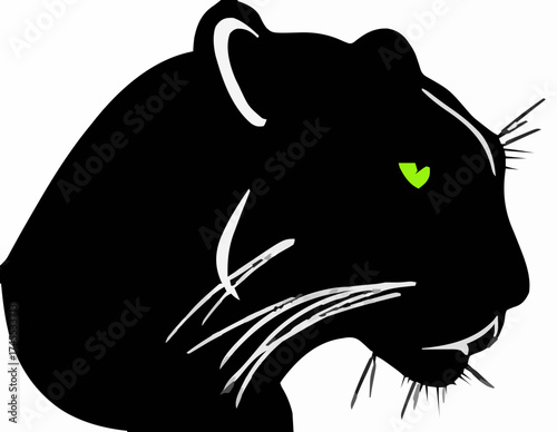 Sleek black panther head silhouette with piercing green eyes
