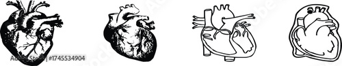 Anatomical Heart Vector Drawings | Medical Illustration Set for Healthcare and Educational Design