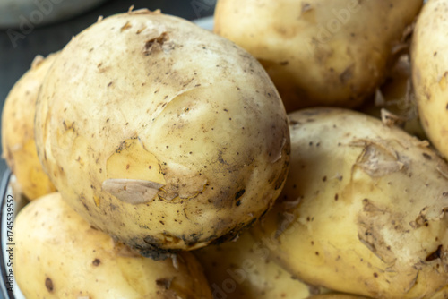 Abundant harvest of organic potatoes with earthy details symbolizing natural goodness and healthy eating. From farm to table rustic charm of unwashed potatoes ready for wholesome home cooked dishes.
