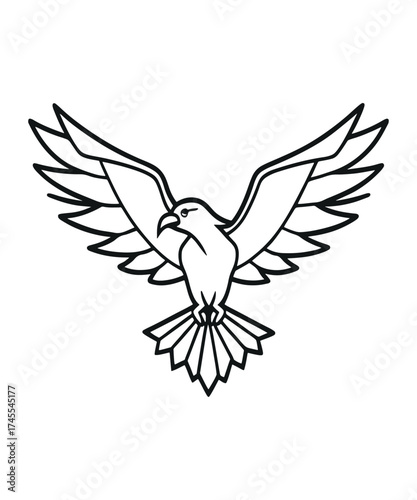 A bold line drawing of a soaring eagle illustration