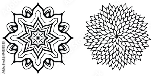 Intricate mandala vector, circular symmetrical pattern, detailed line art, transparent background