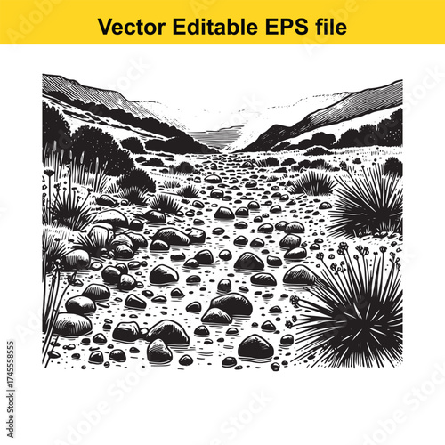 Vector art of dry riverbed with rocks and sparse vegetation in a landscape