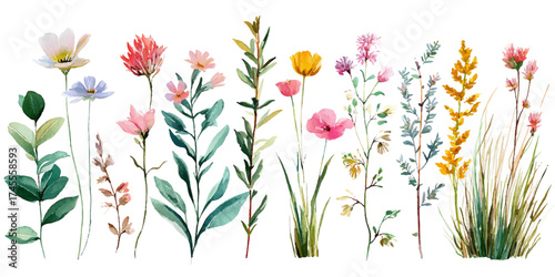 A collection of delicate watercolor wildflowers and grasses, painted in soft hues and arranged in a visually appealing composition, isolated on a transparent background.