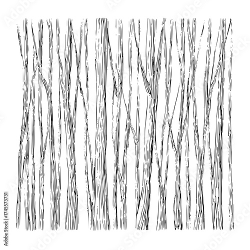 Black and white tree trunks forest illustration drawing woodland treescape nature background design element art 100