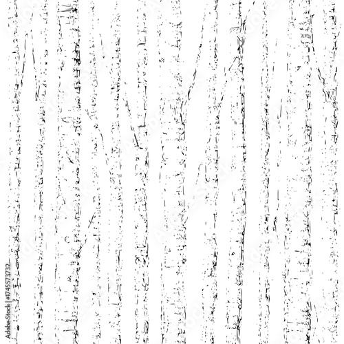 Seamless birch tree bark texture pattern background vector for design and decoration resource material