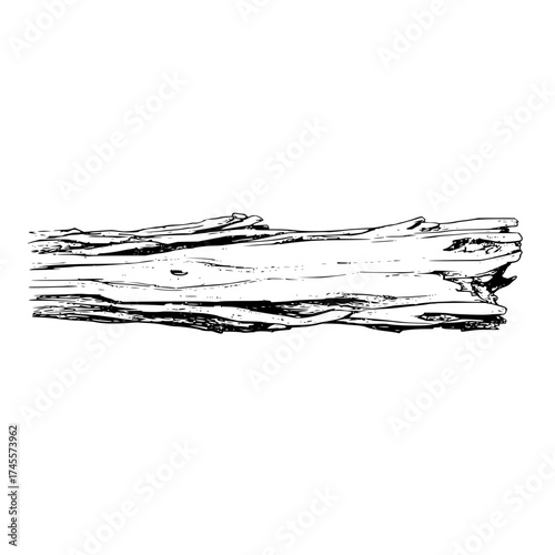 Black and white driftwood log illustration for nature lovers wood texture art and design element vector image
