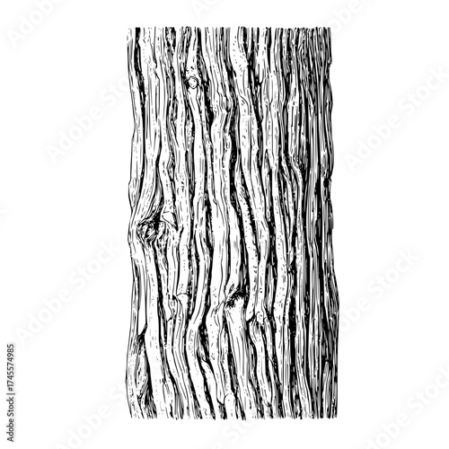 Detailed tree bark texture illustration for graphic design and nature themed projects high resolution vector image