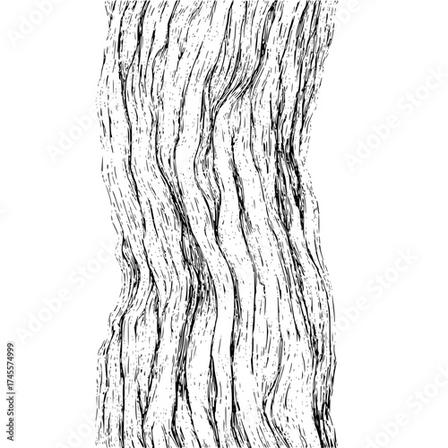 Abstract black and white tree bark texture vector illustration for background design and print material use