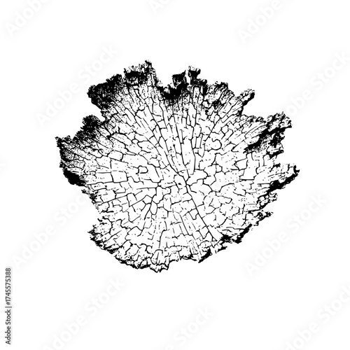 Black and white tree stump cross section vector illustration wood texture growth rings graphic design element 100