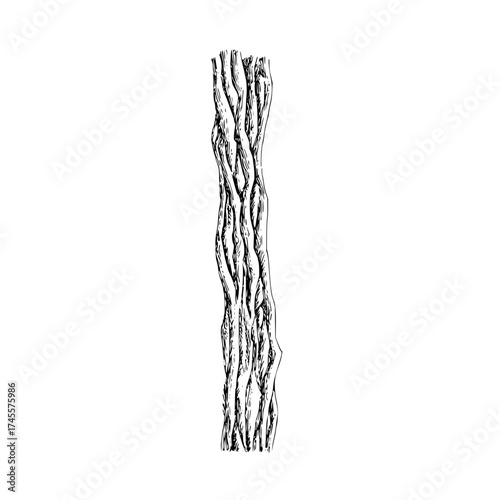 Detailed tree bark texture illustration for design resources and graphic elements nature trunk drawing art 100