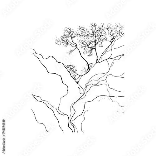 Minimalist tree line art drawing on rocky cliffside landscape illustration for nature lovers and artists