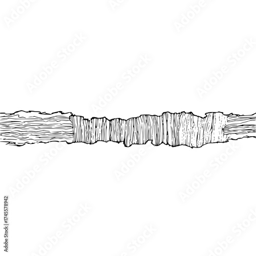 Detailed hand drawn wood plank texture vector illustration for woodworking and lumber industry design needs