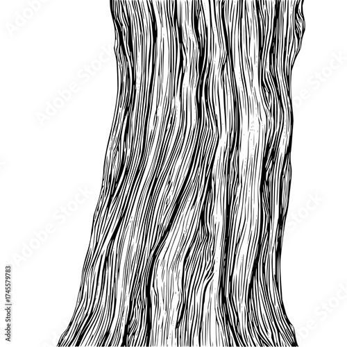 Detailed tree bark texture illustration for nature designs and organic patterns black and white tree trunk art