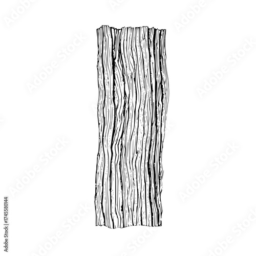 Detailed tree bark texture illustration for graphic design and nature themed projects vector drawing element 100