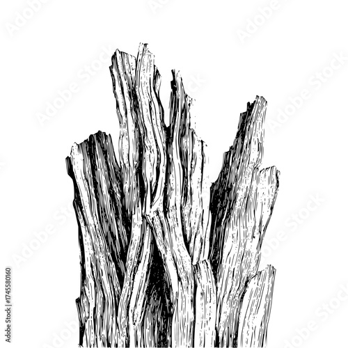 Detailed black and white drawing of driftwood log for nature illustration and design projects use, vector art