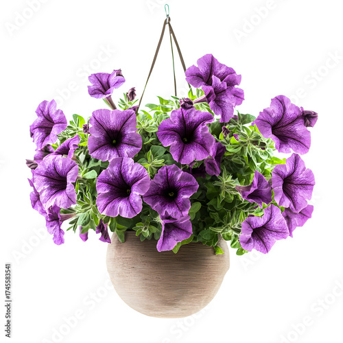 Elegant Purple Petunias Hanging Beautifully in Vase Floral Arrangement